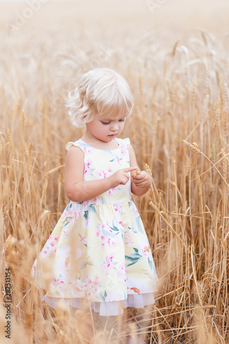  Little girl in cereal field. Girls in the grain-field. Happy little girl child in wheat cereal field in summer. Summer. Adorable smiling little girl in the wheat field on summer day.