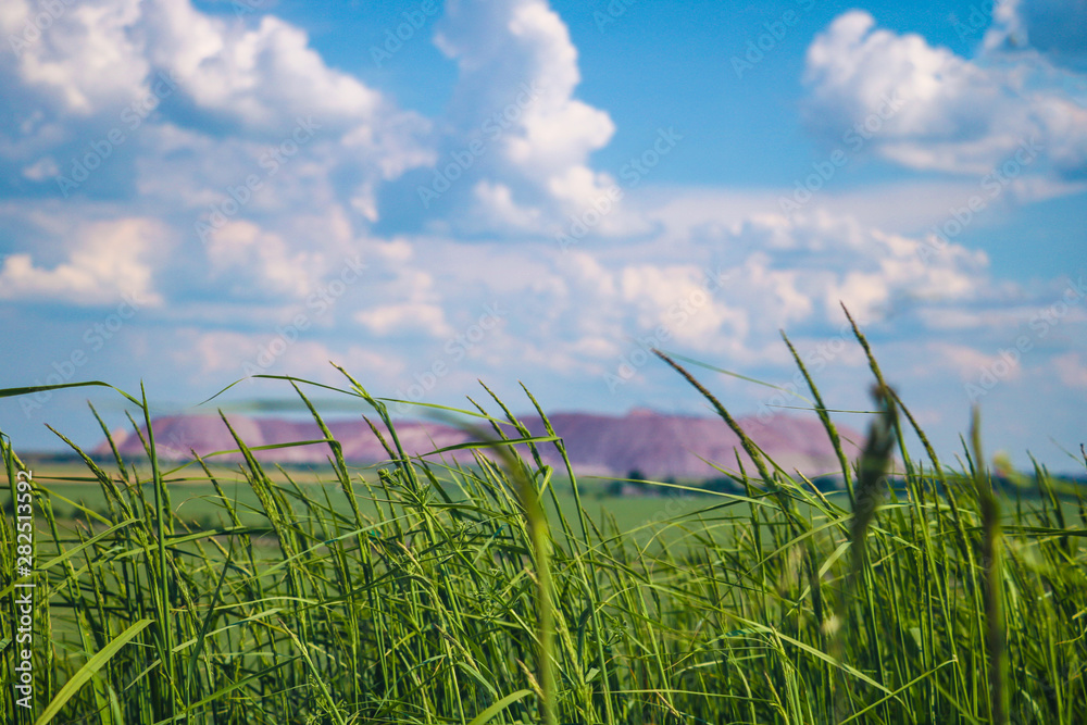 Obraz premium Green grass in the foreground, out of focus terricone - an artificial mound from waste rock, extracted from underground mining of coal and other mineral deposits.