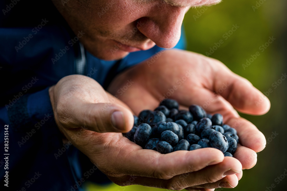 Man cupping and smelling fresh, ripe blueberries Man cupping and smelling fresh, ripe blueberries