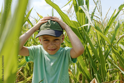 mały chłopiec stoi wśród uprawy kukurydzy 