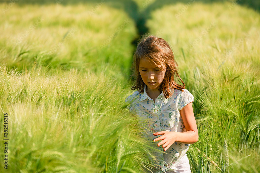 Curious girl walking in sunny, idyllic rural green wheat field Curious girl walking in sunny, idyllic rural green wheat field