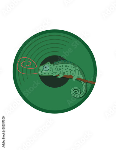 Camaleòn 