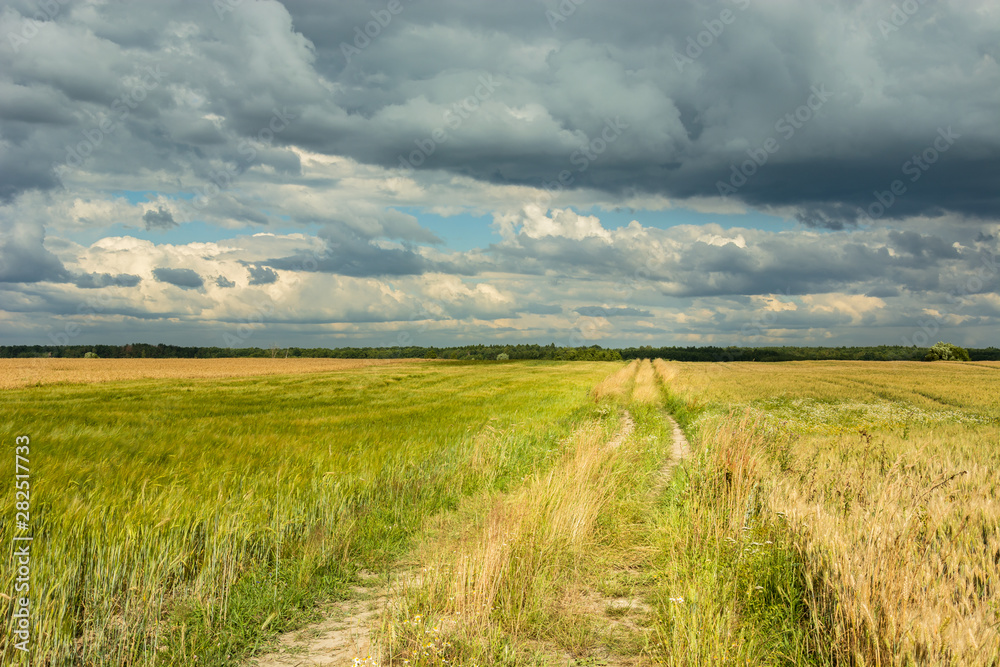 Path through a meadow and dark clouds in the sky Path through a meadow and dark clouds in the sky
