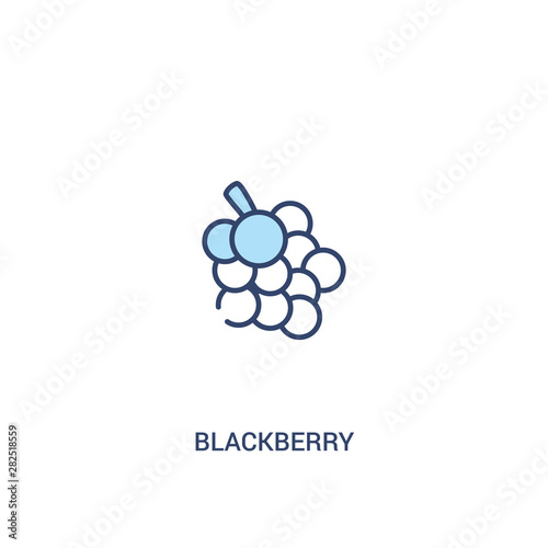 blackberry concept 2 colored icon. simple line element illustration. outline blue blackberry symbol. can be used for web and mobile ui/ux.