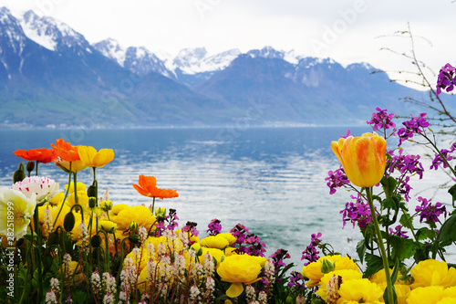 Lake Geneva With Flowers