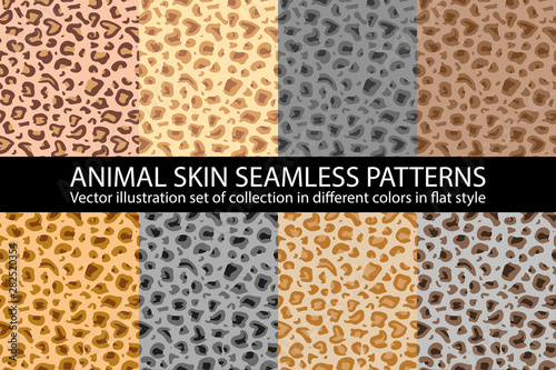 set natural animal skin Seamless Pattern vector texture eps 10 illustration Leopard repeating background