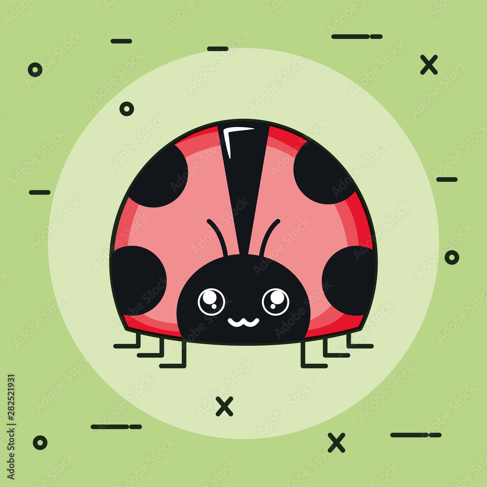Fototapeta premium cute ladybug insect kawaii character