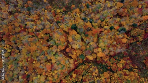 Aerial Forward: Brightly Colorful, Forest Covered Plain - Dixville Notch, New Hampshire photo