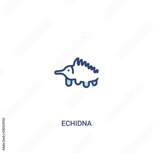 echidna concept 2 colored icon. simple line element illustration. outline blue echidna symbol. can be used for web and mobile ui/ux.