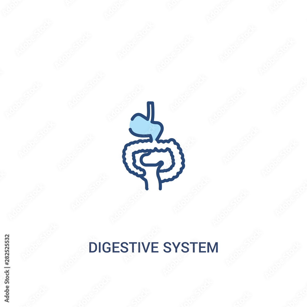 digestive system concept 2 colored icon. simple line element illustration. outline blue digestive system symbol. can be used for web and mobile ui/ux.
