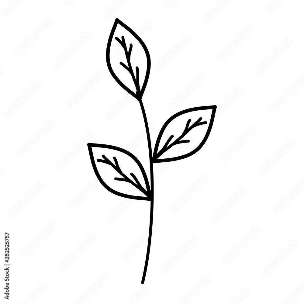 branch with leafs plants garden branch with leafs plants garden