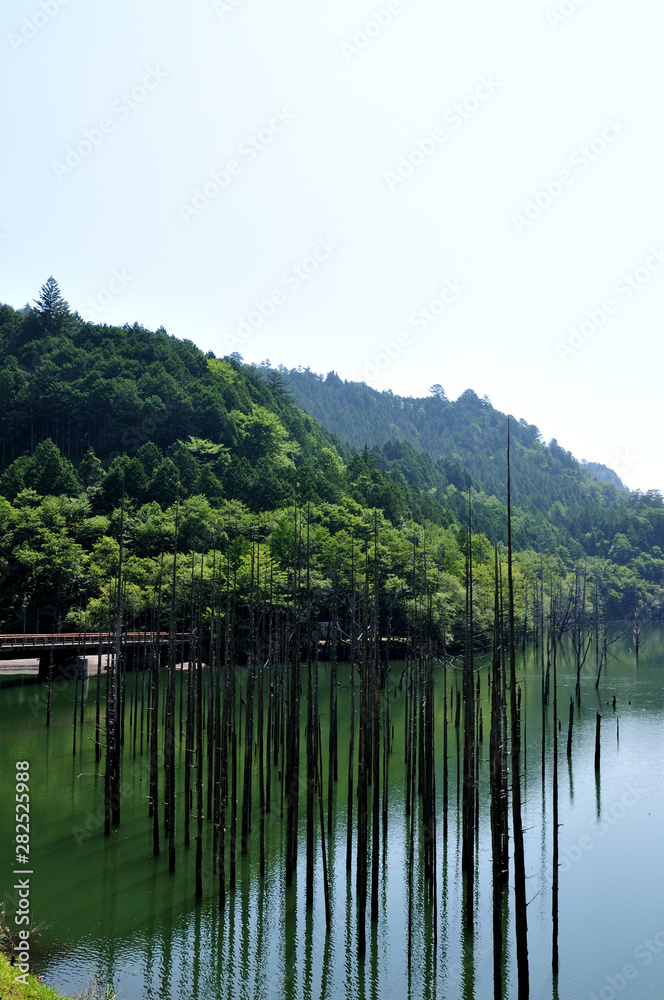 Fototapeta premium 自然湖