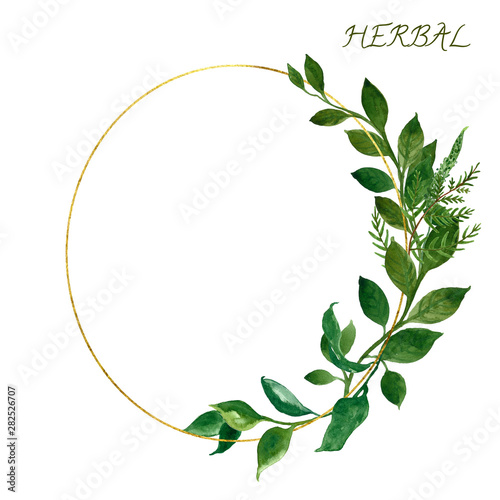 Watercolor botanical golden frame with wild herbs and green leaves on white b...