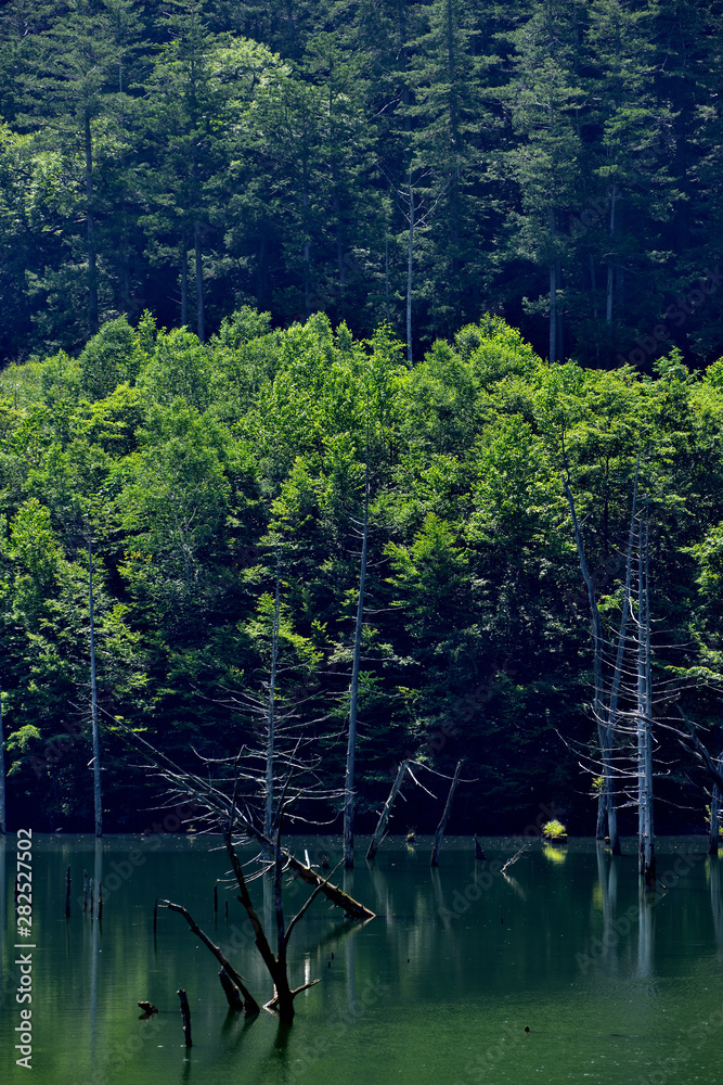 Obraz premium 大滝村自然湖