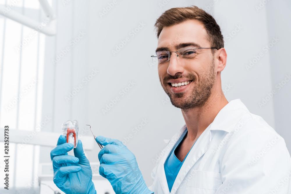 handsome bearded dentist holding dental instrument and tooth model while smiling in clinic handsome bearded dentist holding dental instrument and tooth model while smiling in clinic