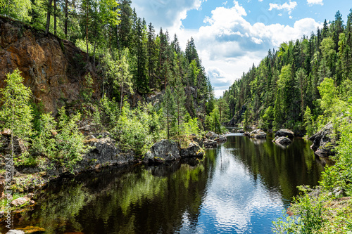 Fototapeta Naklejka Na Ścianę i Meble -  quiet river fringed by nordic forest
