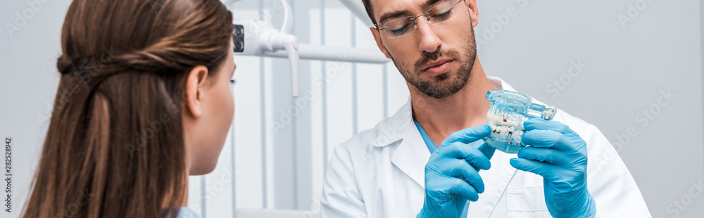 panoramic shot of dentist holding tooth model near woman panoramic shot of dentist holding tooth model near woman