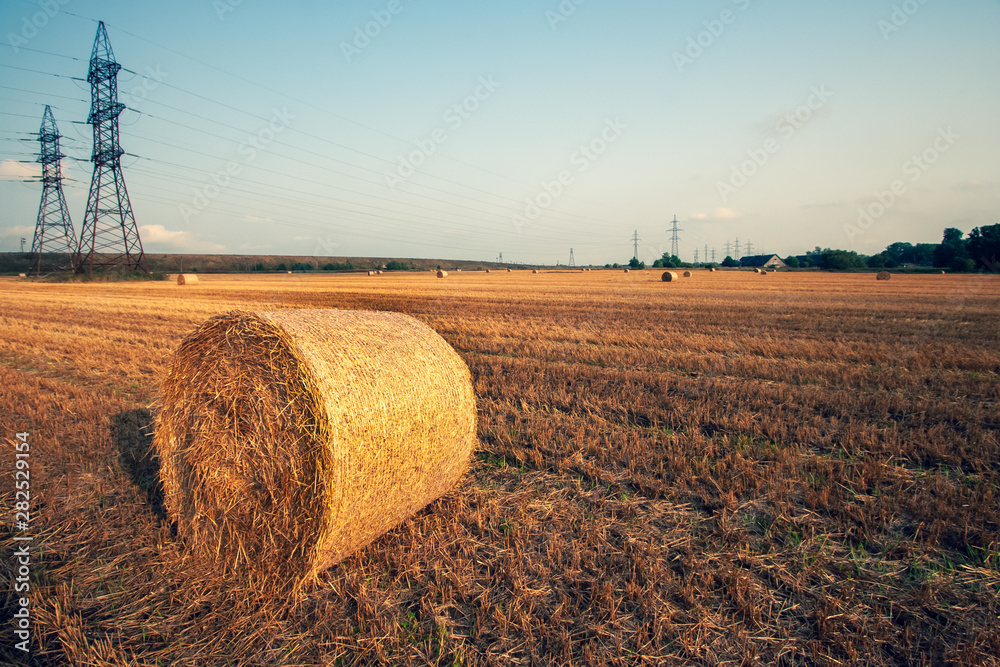 Hay bale in a roll on a mowed field. A lot of hay away. Many large high power lines against the sky.