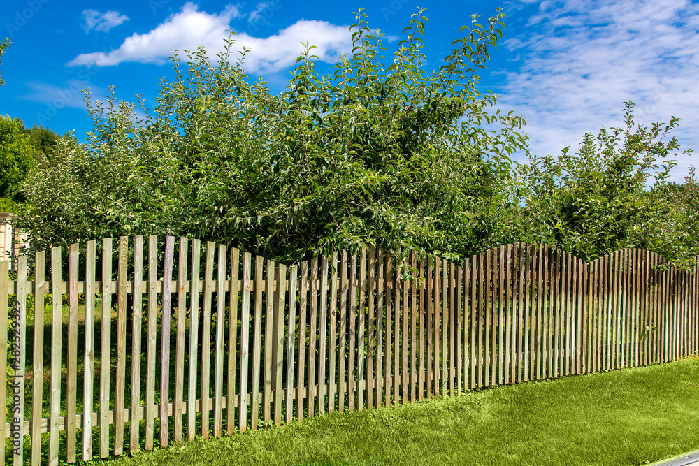 roadside with a wooden fence of planks enclosing an apple orchard with fruit trees on a sunny summer day, eco friendly background. roadside with a wooden fence of planks enclosing an apple orchard with fruit trees on a sunny summer day, eco friendly background.