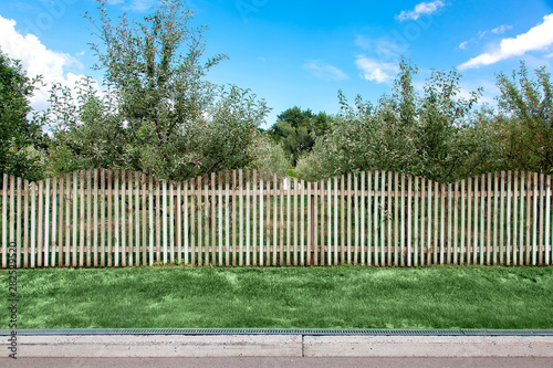 apple orchard behind a wooden fence at the side of the asphalt road with a curb and drainage system and green lawn.