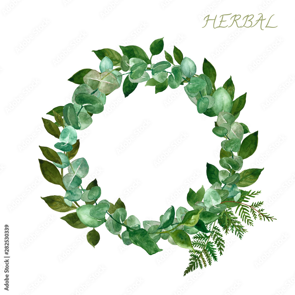 Fototapeta premium Watercolor hand painted round border with eucalyptus plant, fern leaf and forest wild plants, isolated on white background. Decorative floral wreath