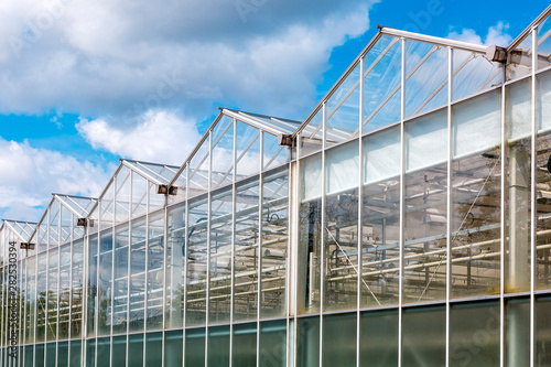 glass greenhouse facade against a blue sky with clouds, building for growing vegetables year round agriculture. © Александр Беспалый