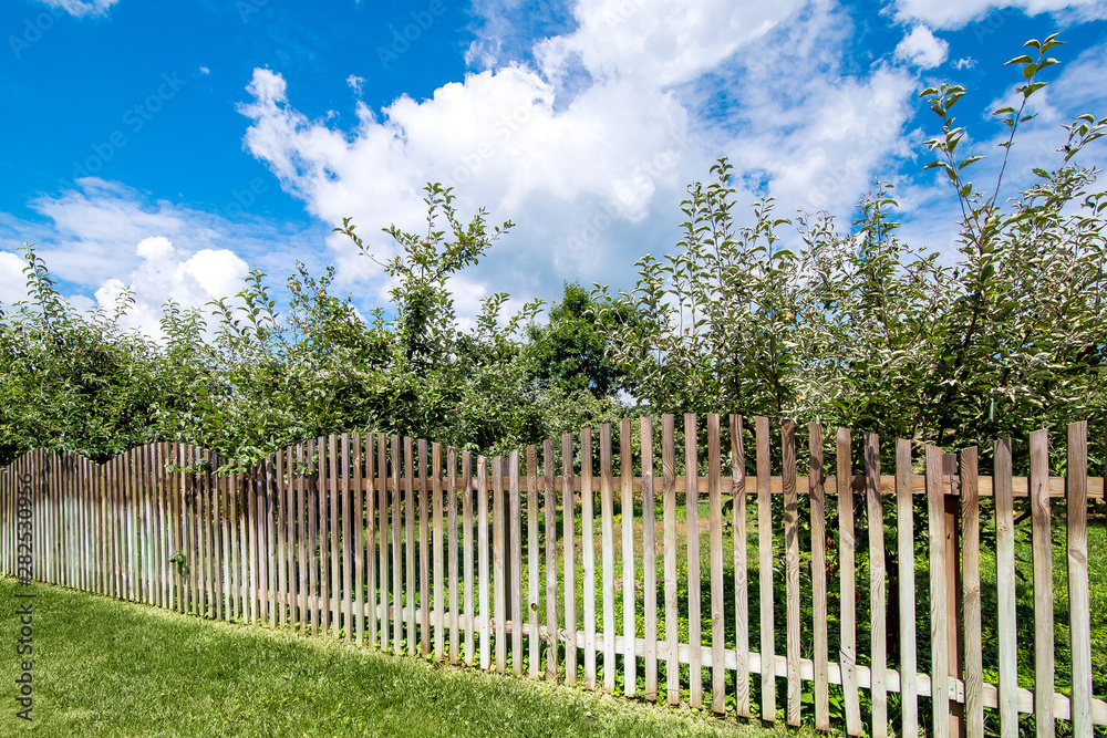 a wooden fence; of apple orchard and green lawn on the summer sunny day with clouds on the sky.