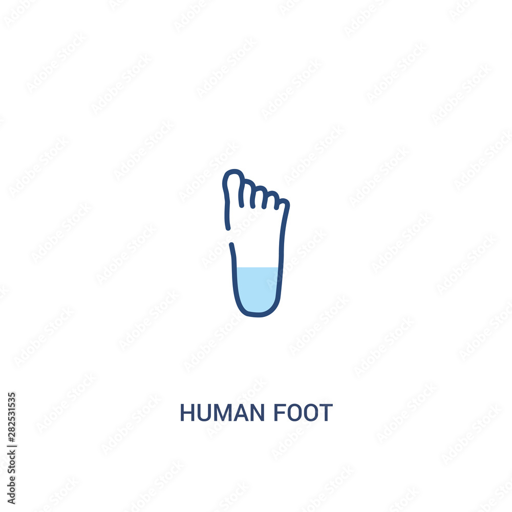 human foot concept 2 colored icon. simple line element illustration. outline blue human foot symbol. can be used for web and mobile ui/ux.