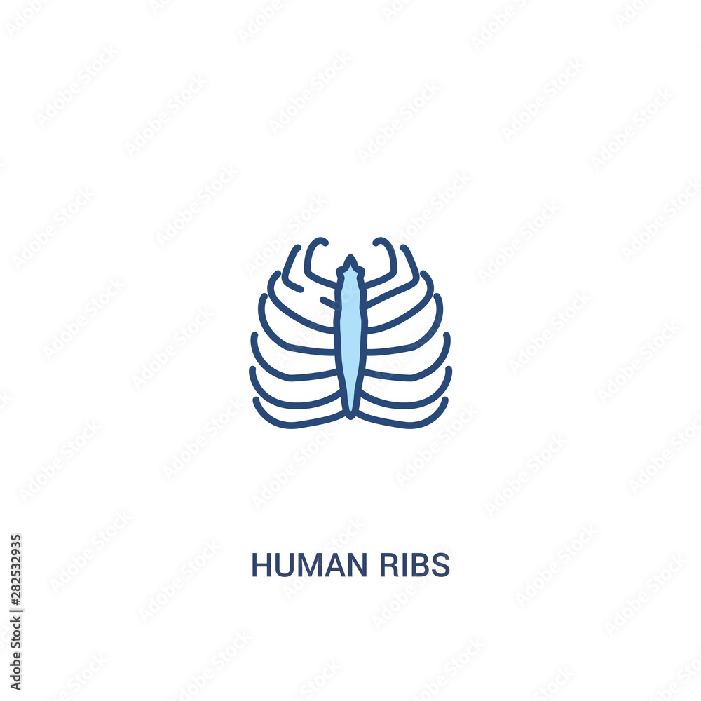 human ribs concept 2 colored icon. simple line element illustration. outline blue human ribs symbol. can be used for web and mobile ui/ux.