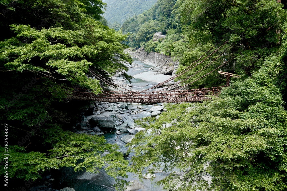  祖谷のかずら橋 日本の四国地方　徳島県にある葛でできた橋です　祖谷のかずら橋観光名所です