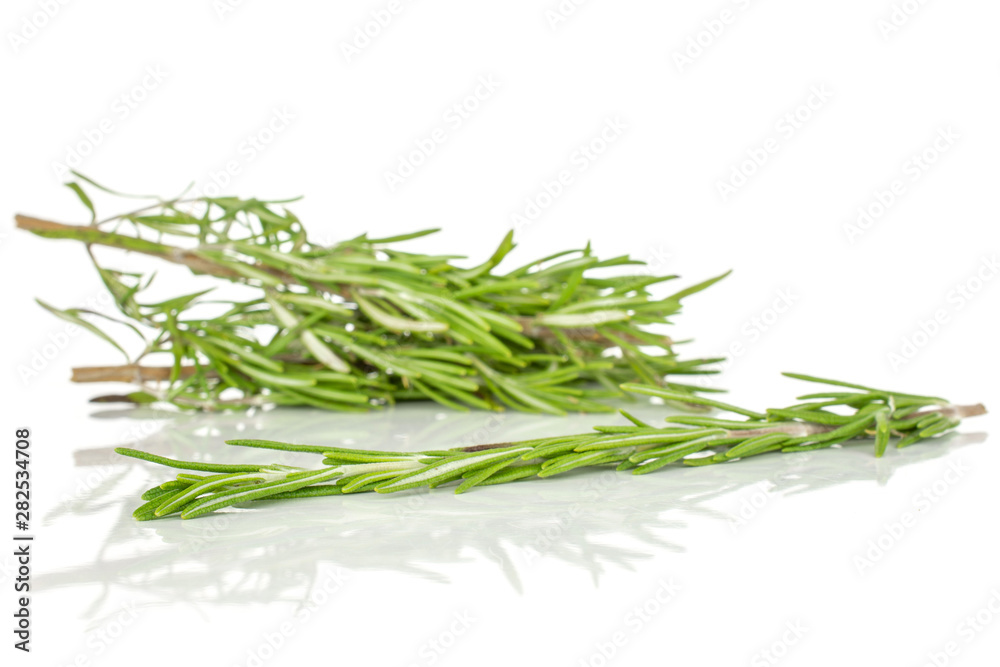 Group of three whole fresh evergreen sprig of rosemary isolated on white background Group of three whole fresh evergreen sprig of rosemary isolated on white background