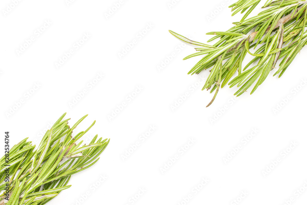 Fototapeta premium Group of two whole leathery fresh evergreen sprig of rosemary flatlay isolated on white background