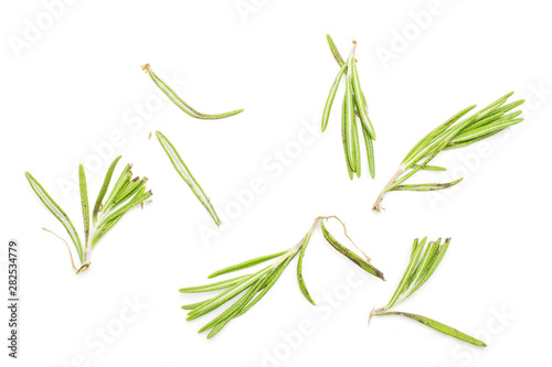 Lot of pieces of aromatic fresh evergreen sprig of rosemary flatlay isolated on white background