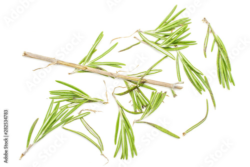 Lot of pieces of fresh evergreen sprig of rosemary flatlay isolated on white background