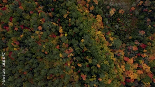 Aerial Forward: Thick, Brightly Colored Forest - Dixville Notch, New Hampshire photo