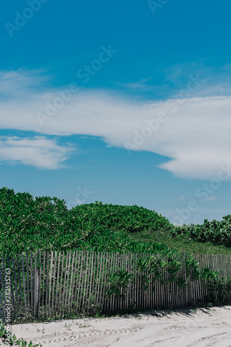 Blus sky in the beach