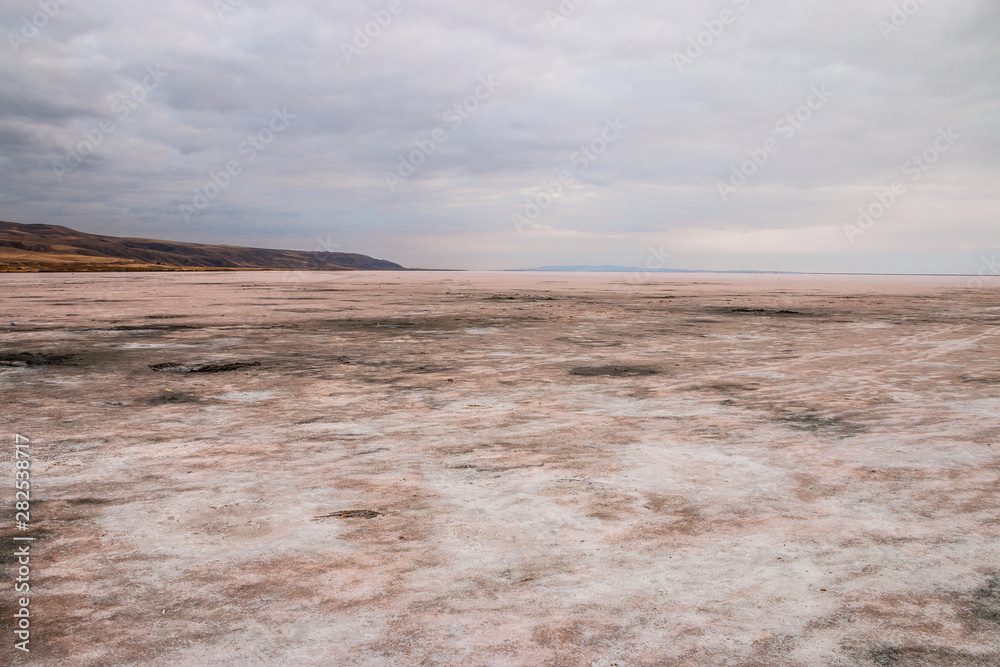 saltlake turkey