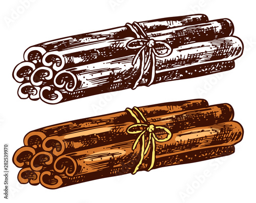 Cinnamon sticks isolated on transparent background. Hand drawn engraved vintage sketch for labels. Vector illustration.