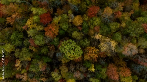 Aerial Forward: Colorful Forest Covered Plain - Dixville Notch, New Hampshire photo