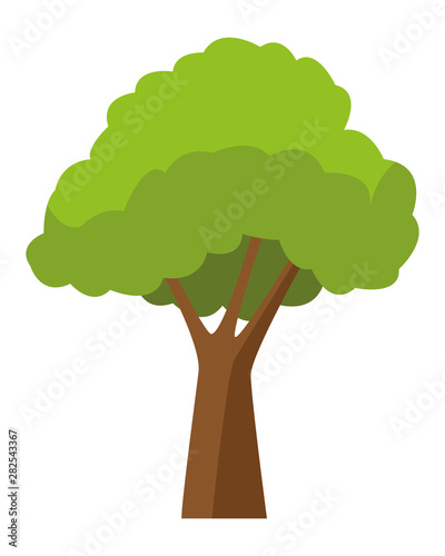 Tree with leaves nature cartoon