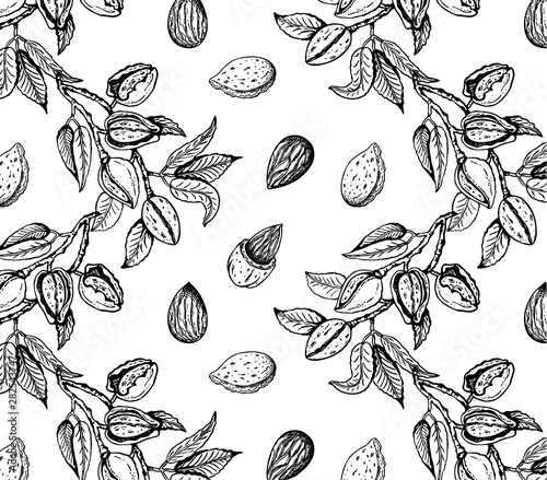 Slika na platnu Vector illustration of sketch hand drawn pattern with black and white branches almond nuts, tree