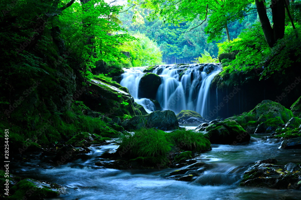 Obraz premium 岩手県 夏の滝