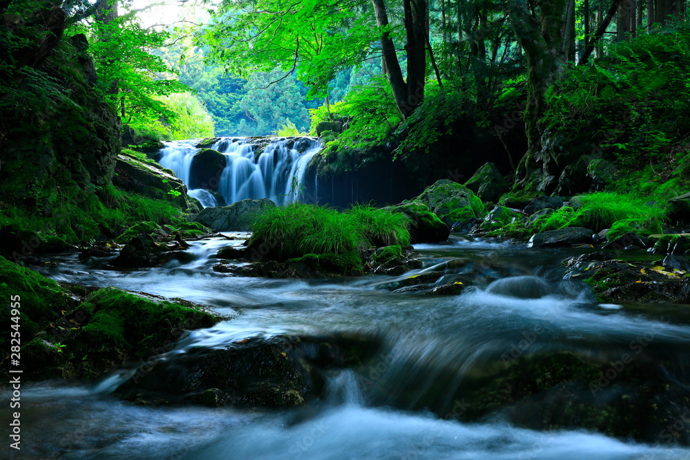 Obraz premium 岩手県 夏の滝