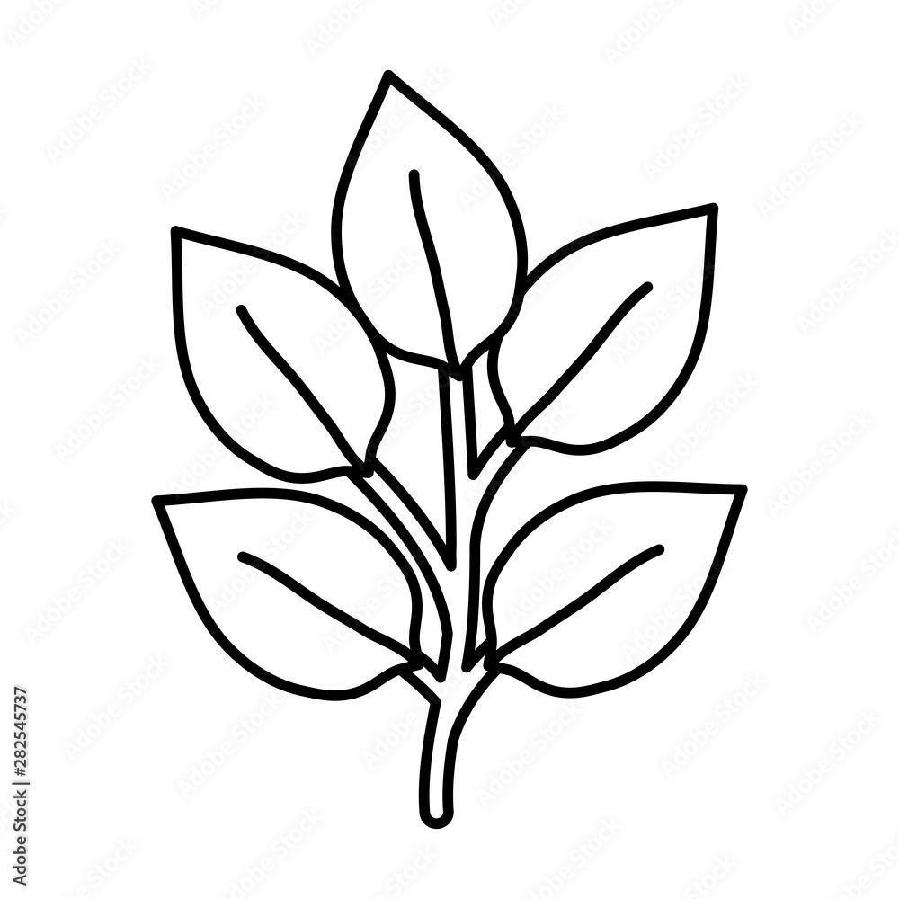 leafs plants garden nature icon leafs plants garden nature icon