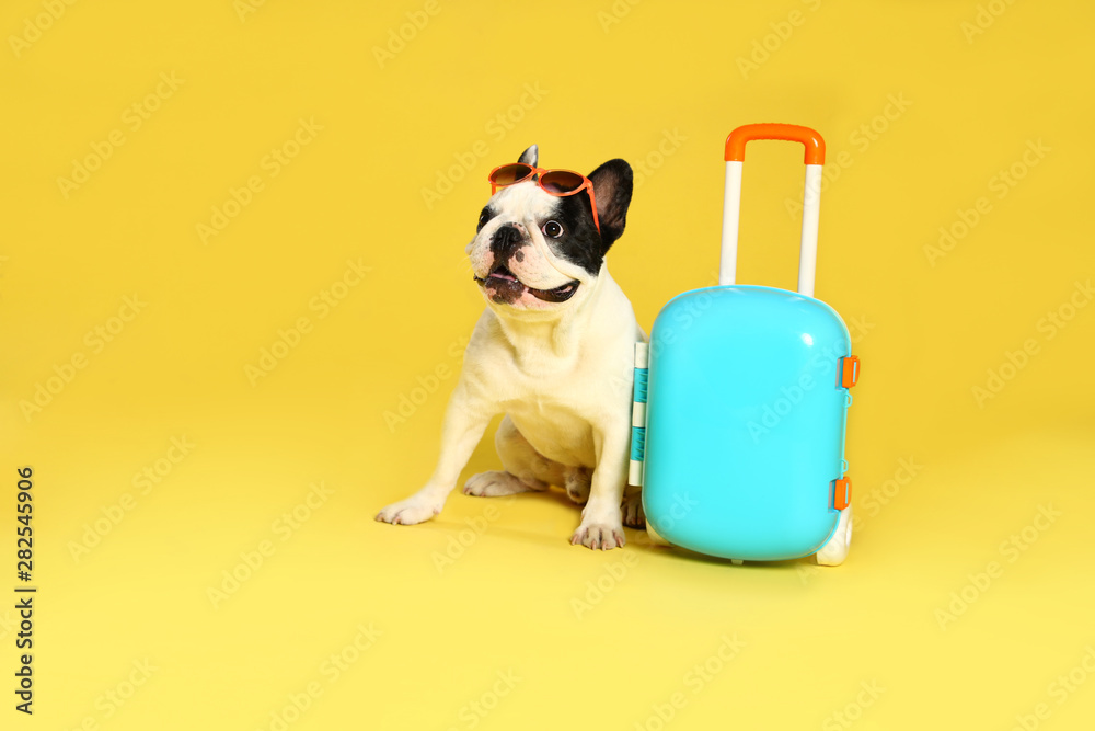 French bulldog with sunglasses and little suitcase on yellow background. Space for text - obrazy, fototapety, plakaty 