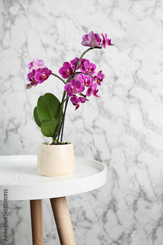 Beautiful tropical orchid flower on wooden table against grey and marble background