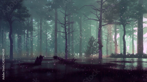 Fototapeta Wróżka świetlik światła na leśnym bagnie w ciemn