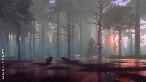 Dark mystical forest swamp at foggy dawn or dusk photo