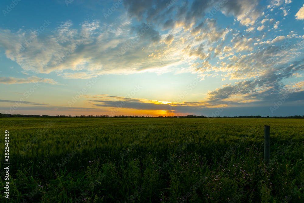 Sunset in the Saskatchewan prairies