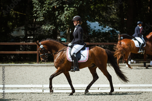 Eine Reiterin reitet ihr braunes Deutsches Reitpony (DRP) in der Dressur auf einem ländlichen Turnier auf Trense